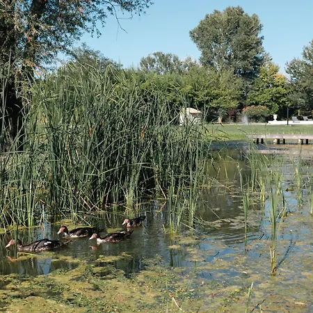Mas Du Versadou, Dans Un Espace Naturel Protege, Piscine Couverte Chauffee Toute L'annee, Et Salle De Jeux דירה סן-ז'יל